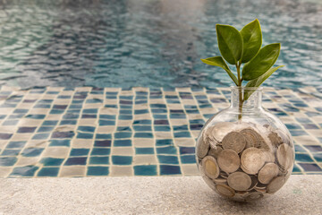 Fototapeta na wymiar The saplings that grow on the pile of coins In a glass bottle on pool background Symbol for business growth. Investment concept for growth and saving money. Space for text input, Selective focus.