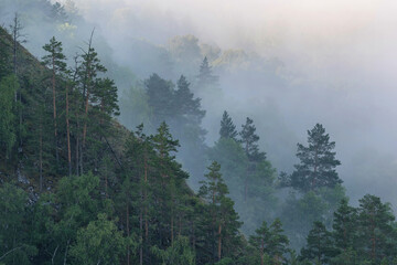 Ural landscape. Morning mist on mountain forest. Bashkiria, Russia.