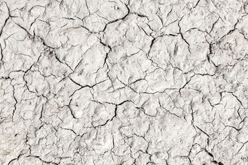 Dry ground texture. Stale cracked surface of dry soil.