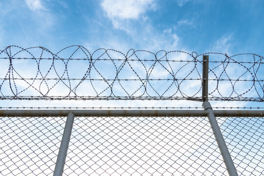 Barbed wire fence and wire mesh with sky background.