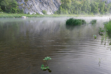 Morning mist on the water of mountain river. Ural, Bashkortostan, Russia.