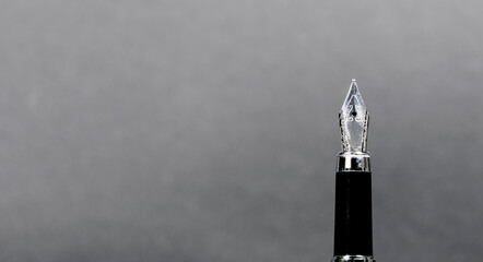 Fountain pen with silver tip