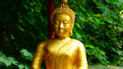 golden buddha statue