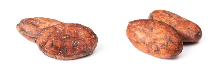 dried unpeeled cocoa beans isolated on white background