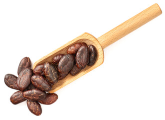 dried cocoa beans in the wooden spoon, isolated on white background, top view