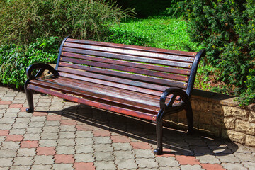 Wooden Bench and Pavement in the Park . Romantic Place in the Park