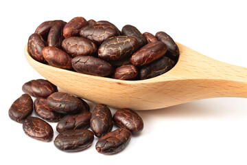 peeled cocoa beans in the wooden spoon, isolated on white background