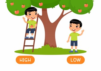 HIGH and LOW antonyms word card vector template. Opposites concept. Flashcard for english language learning.Boy standing on ladder, picking apple from tree illustration with typography