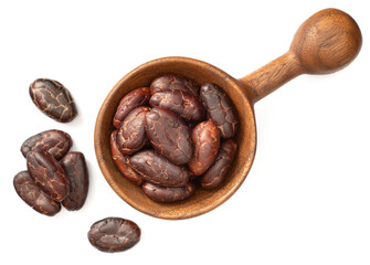 dried cocoa beans in the wooden spoon, isolated on white background, top view