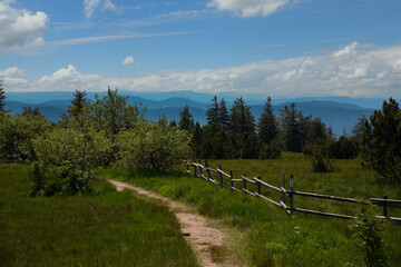 Panoramaweg Schliffkopf im Nordschwarzwald