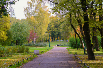 Empty walkway in the autumn park