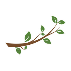 Tree leaf ecology nature element vector
