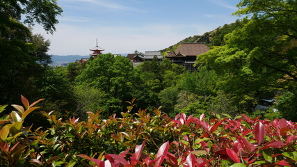 清水寺遠景 清水の舞台と三重塔