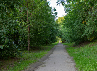 Walking path in the city Park