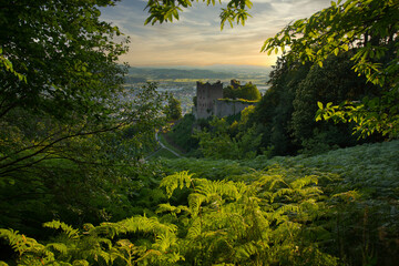 Fototapeta premium Burgruine Schauenberg oberhalb von Oberkirchi m Schwarzwald