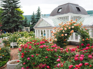 白い恋人パーク ローズガーデン