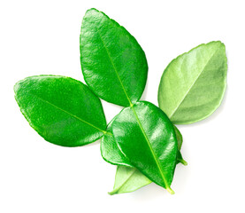 fresh caffre lime leaves isolated on white background, top view