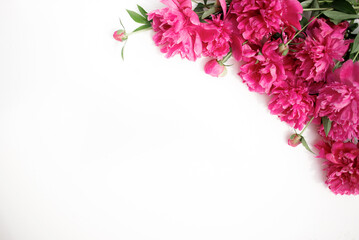 Floral pattern, frame made of beautiful pink peonies on white background. Flat lay, top view. Floral frame.