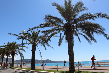 La promenade des Anglais &agrave; Nice le long de la mer m&eacute;diterran&eacute;e, ville de Nice, D&eacute;partement des Alpes Maritimes, France