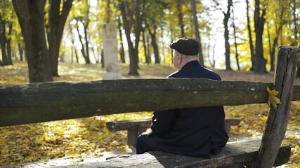 Back view of senior man resting on a park bench and admiring the autumn beauty - Powered by Adobe