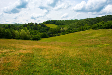 Green nature landscape view