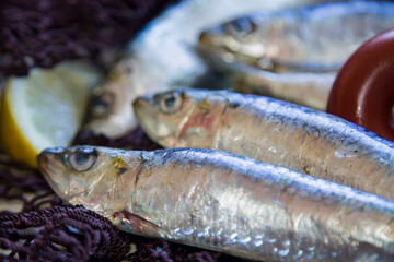 fresh sardines on the fishing net