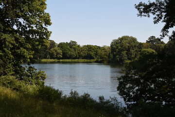 Reflections on a still lake in summer, at Holkham Park, Norfolk, UK