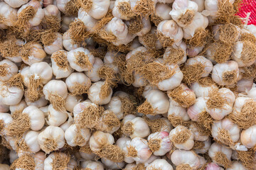 Organic garlic on market.