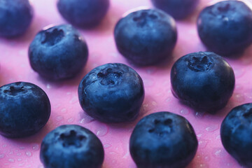 Blueberries berries pink background. Berry texture, drops water