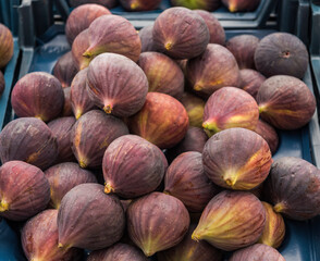 Fresh organic fig on market.