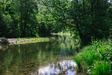 Fototapeta na wymiar view of a calm mountain river among the green forest on a sunny day