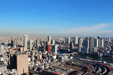 Fototapeta premium 汐留から東京湾を一望