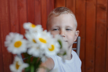 a three-year-old blond boy in a white T-shirt sits on a chair against a wooden wall and looks at a bouquet of chamomiles, squinting.
lmage with selective focus