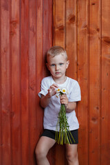 a little blond boy in a white T-shirt stands against a wooden wall with a bouquet of chamomiles in his hands, looks at the camera.
lmage with selective focus