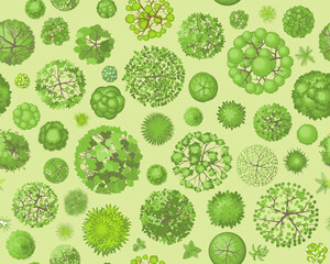 Seamless pattern. Forest top view. Various trees and plants. View from above.