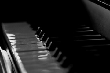 Piano keyboard colored black and white Macro