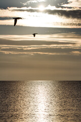 Ostsee