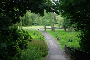 A path into a green leafy park in York.