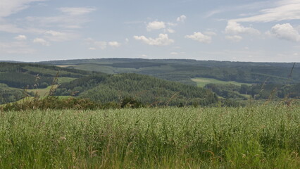 Fototapeta premium Hunsrück - Fernblick bei Hentern
