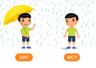 WET and DRY antonyms word card vector template. Flashcard for english language learning. Opposites concept. Little asian boy stands with umbrella in the rain, boy without umbrella 