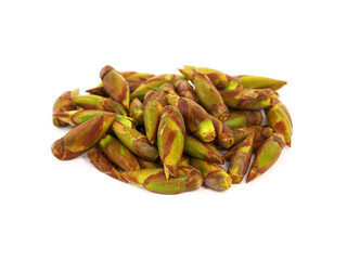 Pile of poplar buds isolated on white