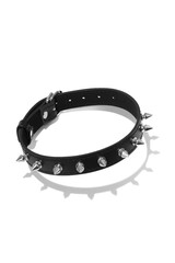 Detailed shot of a black leather collar decorated with spike rivets and steel buckle. The adjustable choker is isolated on the white background.  