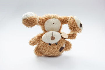 teddy bear on white background upside down