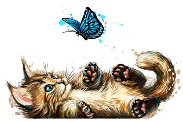 A kitten is playing with a butterfly. Wall sticker with the image of a blue-eyed Maine Coon kitten catching a butterfly in a watercolor style.