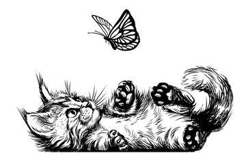A kitten is playing with a butterfly. A wall sticker with the image of a Maine Coon kitten.	