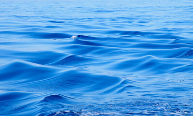 Mar azul 2