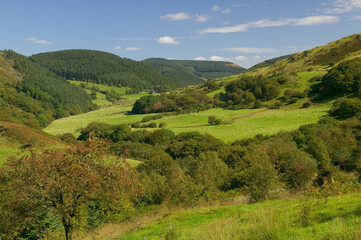 countryside near Cwmbrwyno, near Devils Bridge, Ceredigion, Wales