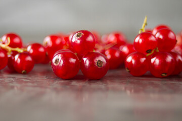 Red currants scattered over a gray texture background