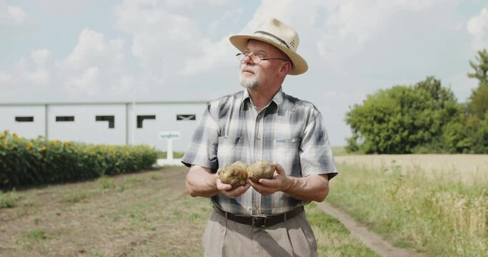 Farmer with glasses in hat looks on sun and admires potatoes in hands at field