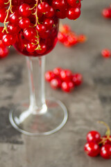 Red currant in a shot glass, the rest is scattered around it on a gray textured background